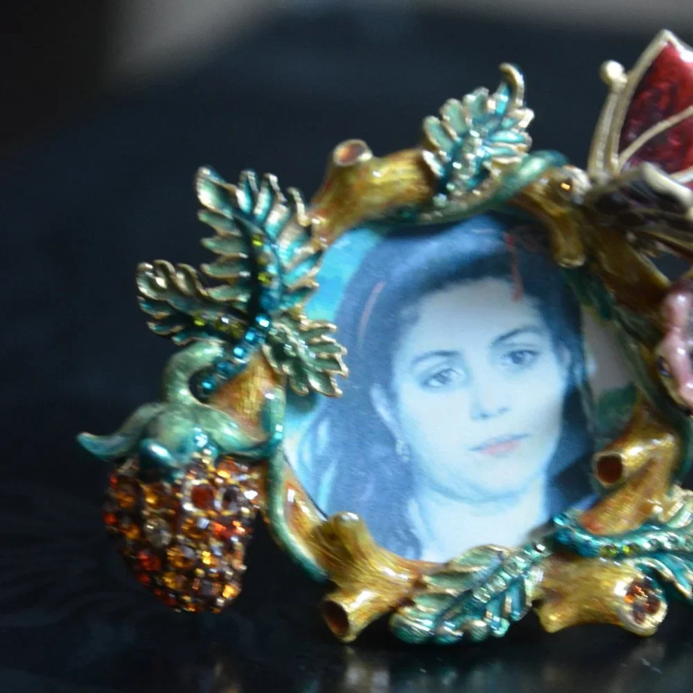 RETIRED JAY STRONGWATER FLORAL FLOWER BUTTERFLY STRAWBERRY CRYSTAL ENAMEL FRAME